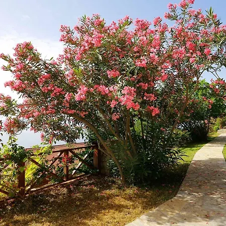Zakros Lykia (adults Only) Faralya